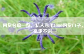 网贷名单一览，私人急用10000网贷口子，拿走不谢