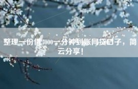 整理一份借3000一分钟到账网贷口子，简云分享！