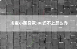 淘宝小额贷款5000还不上怎么办