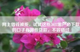 网上借钱被拒，试试这些2022黑户必下款的口子有哪些贷款，不容错过