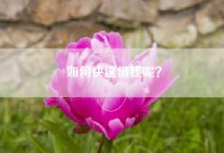 如何快速借钱呢？