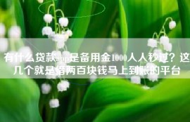 有什么贷款app是备用金1000人人秒过？这几个就是借两百块钱马上到账的平台