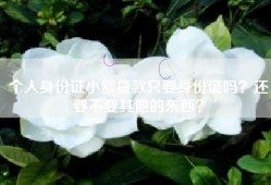 个人身份证小额贷款只要身份证吗？还要不要其他的东西？