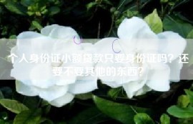 个人身份证小额贷款只要身份证吗？还要不要其他的东西？