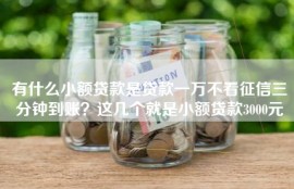 有什么小额贷款是贷款一万不看征信三分钟到账？这几个就是小额贷款3000元
