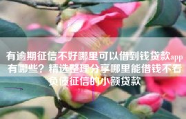 有逾期征信不好哪里可以借到钱贷款app有哪些？精选整理分享哪里能借钱不看负债征信的小额贷款