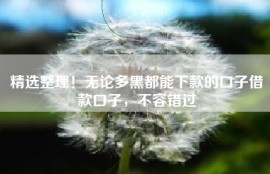 精选整理！无论多黑都能下款的口子借款口子，不容错过