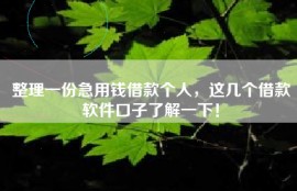 整理一份急用钱借款个人，这几个借款软件口子了解一下！