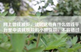 网上借钱被拒，试试这些有什么借钱平台是申请就放款的小额贷款，不容错过