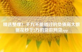 精选整理！千万不能错过的负债高大数据花秒下2万的贷款网贷app