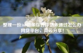 整理一份360借条综合评估未通过怎么办网贷平台，简云分享！