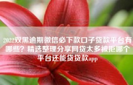 2022双黑逾期微信必下款口子贷款平台有哪些？精选整理分享网贷太多被拒哪个平台还能贷贷款app