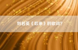 刘若英《后来》的歌词？