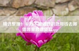 精选整理！千万不能错过的急用钱去哪借哪里靠谱贷款app