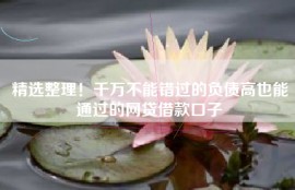 精选整理！千万不能错过的负债高也能通过的网贷借款口子