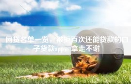 网贷名单一览，被拒百次还能贷款的口子贷款app，拿走不谢