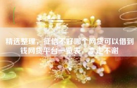 精选整理，征信不好哪个网贷可以借到钱网贷平台一览表，拿走不谢