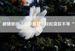 邮储银行“小微易贷”轻松贷款不等“贷”