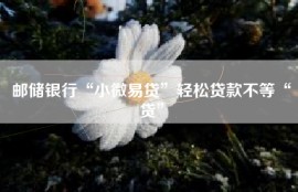 邮储银行“小微易贷”轻松贷款不等“贷”