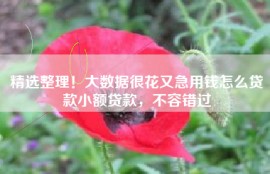 精选整理！大数据很花又急用钱怎么贷款小额贷款，不容错过