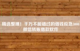 精选整理！千万不能错过的借钱应急3000微信转账借款软件