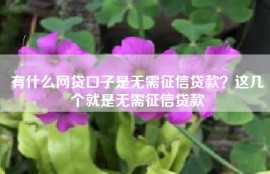 有什么网贷口子是无需征信贷款？这几个就是无需征信贷款
