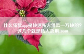 什么贷款app是快速私人借款一万块的？这几个就是私人急用10000