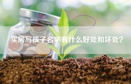 买房写孩子名字有什么好处和坏处？