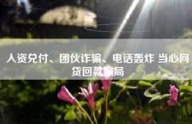 入资兑付、团伙诈骗、电话轰炸 当心网贷回款骗局
