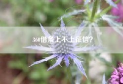 360借条上不上征信？