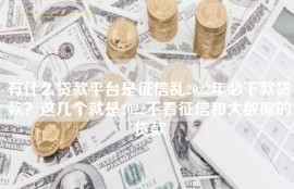 有什么贷款平台是征信乱2022年必下款贷款？这几个就是2022不看征信和大数据的贷款