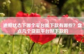 逾期状态下哪个平台能下款有哪些？盘点几个贷款平台好下款的