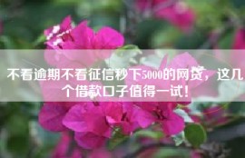 不看逾期不看征信秒下5000的网贷，这几个借款口子值得一试！