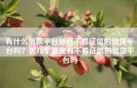 有什么借款平台是有不看征信的借贷平台吗？这几个就是有不看征信的借贷平台吗