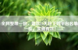 全网整理一份，借款14天包下的平台名单一览，实测有效！