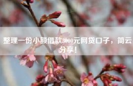 整理一份小额借款3000元网贷口子，简云分享！
