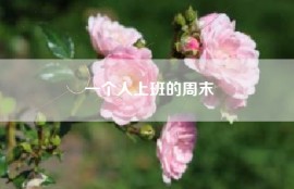 一个人上班的周末