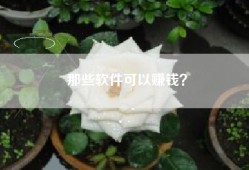 那些软件可以赚钱？