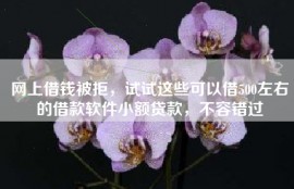 网上借钱被拒，试试这些可以借500左右的借款软件小额贷款，不容错过