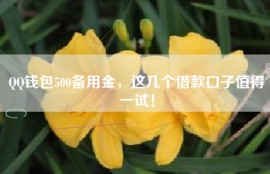QQ钱包500备用金，这几个借款口子值得一试！