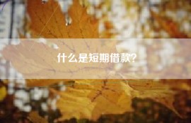 什么是短期借款？