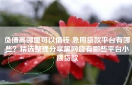负债高哪里可以借钱 急用贷款平台有哪些？精选整理分享黑网贷有哪些平台小额贷款