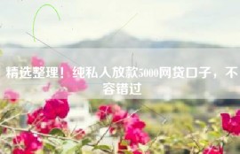 精选整理！纯私人放款5000网贷口子，不容错过