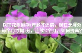 以前花呗逾期1年多才还清，现在芝麻分每个月才提1分，连续17个月，如何提高？