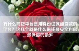 有什么网贷平台是用身份证就能贷款的平台？这几个就是什么借钱最安全利息最低借的最多