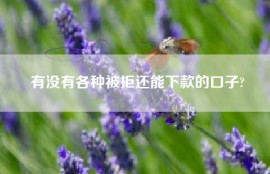 有没有各种被拒还能下款的口子?