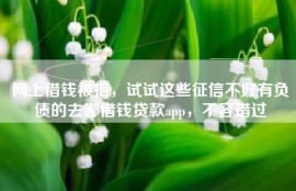 网上借钱被拒，试试这些征信不好有负债的去哪借钱贷款app，不容错过