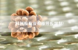 科创板有没有涨停板限制?