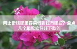 网上借钱哪里容易借到钱有哪些？盘点几个借款软件好下款的