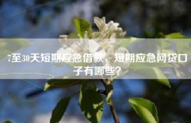 7至30天短期应急借款，短期应急网贷口子有哪些？